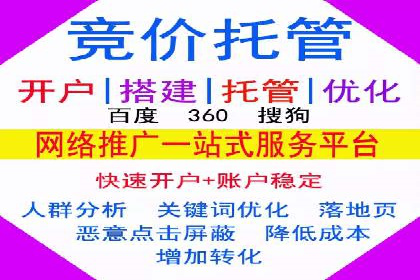 行业领先企业的SEM竞价推广策略揭秘